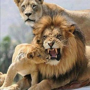 Meet your Posher, Jayjay